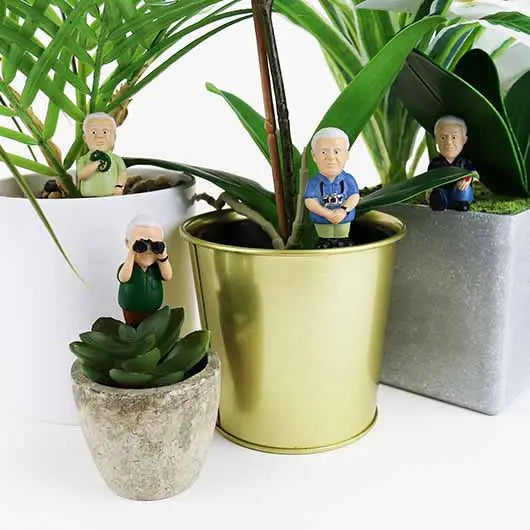 Mini Plant Pot – Attenborough Explorers (Set of 4)