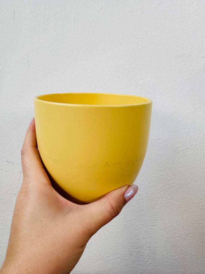 Matte Ceramic Plant Pot 12cm – Yellow