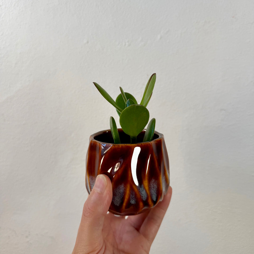 Cognac Drip Pot — 9cm