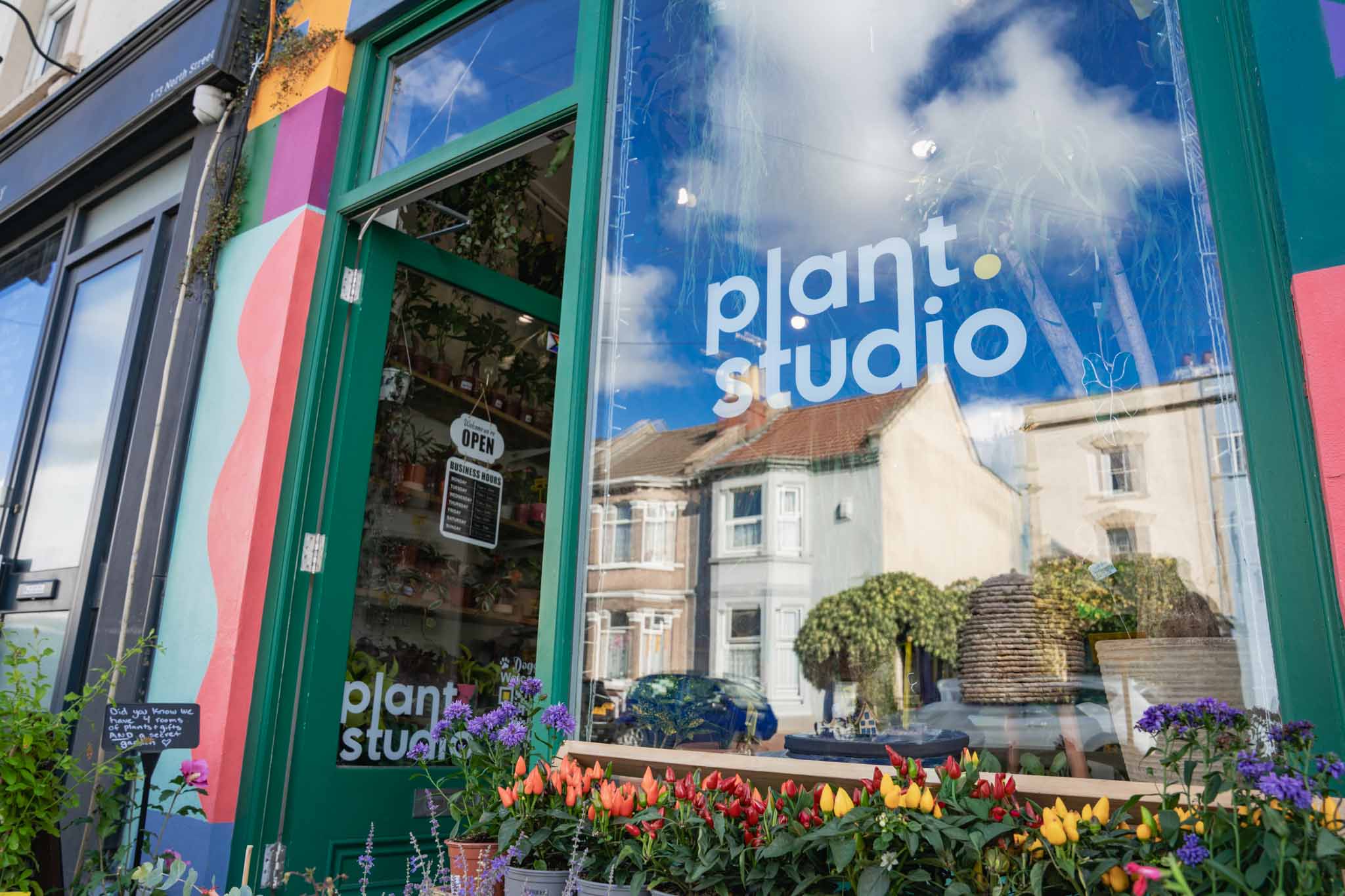 Plants inside Plant Studio in Bristol