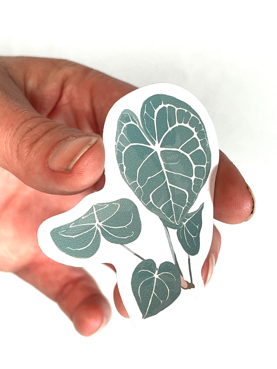Plant Stickers