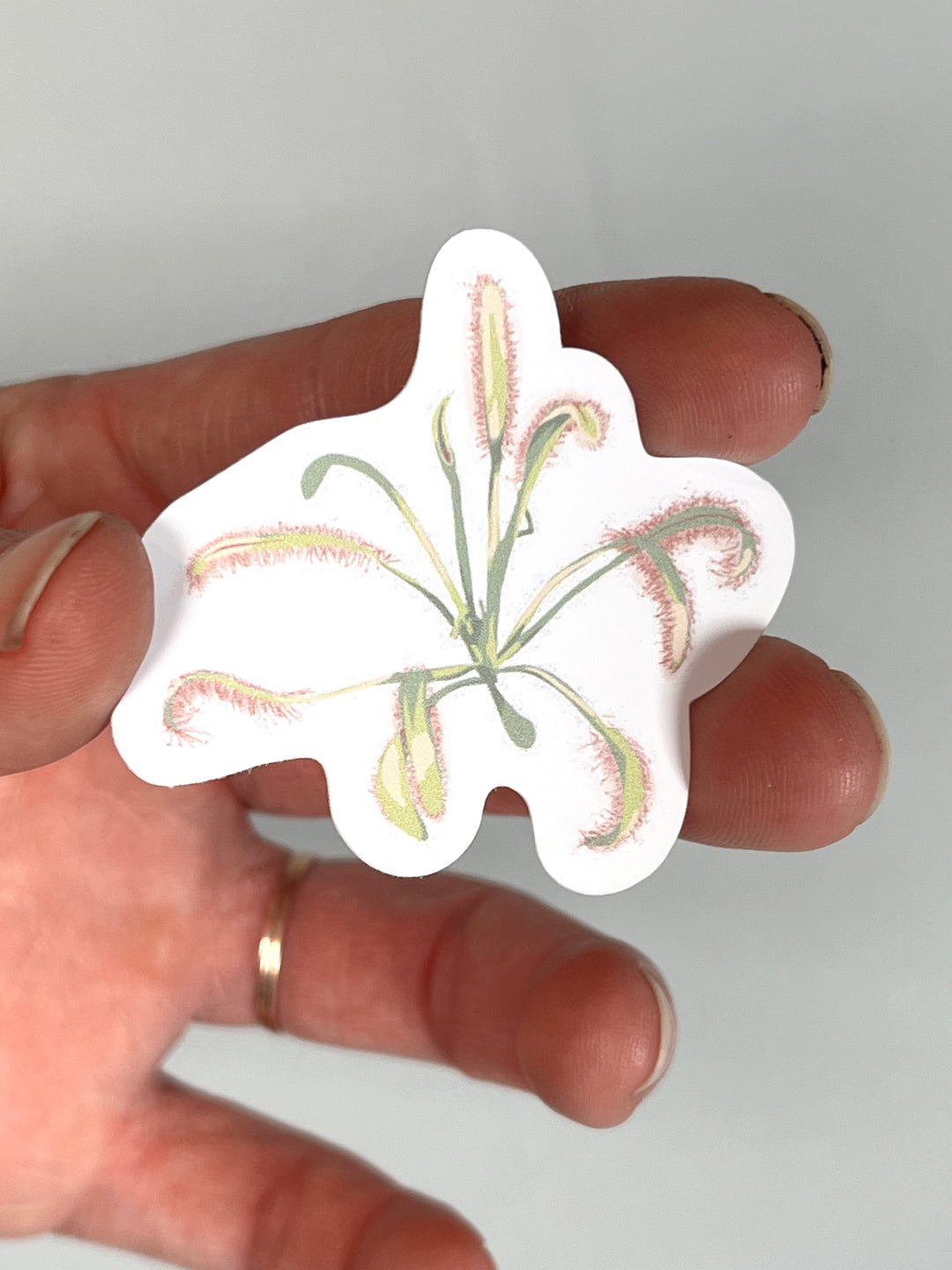 Plant Stickers