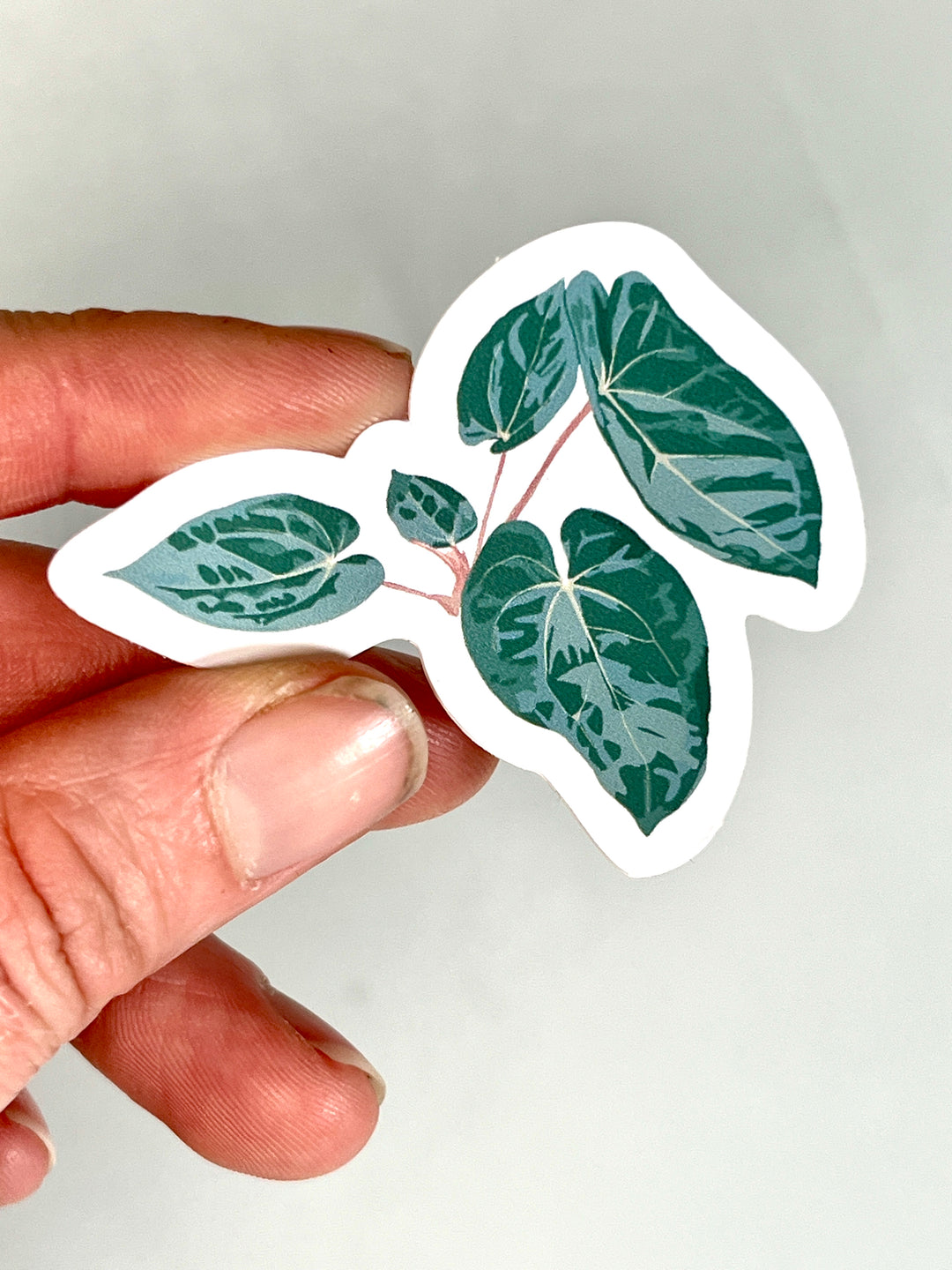 Plant Stickers
