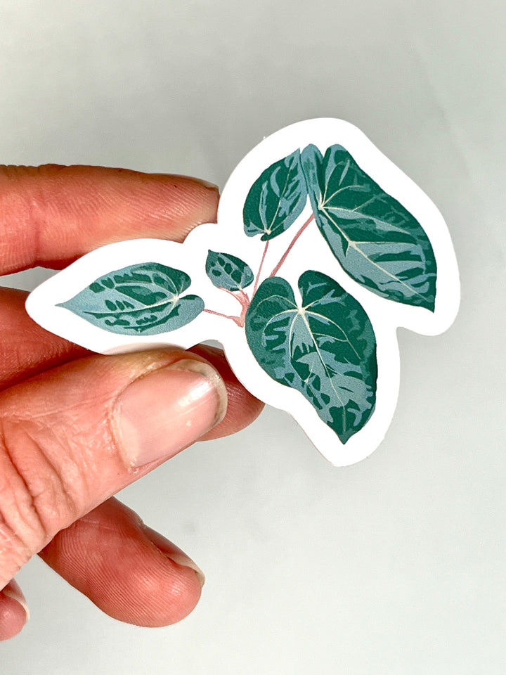 Plant Stickers
