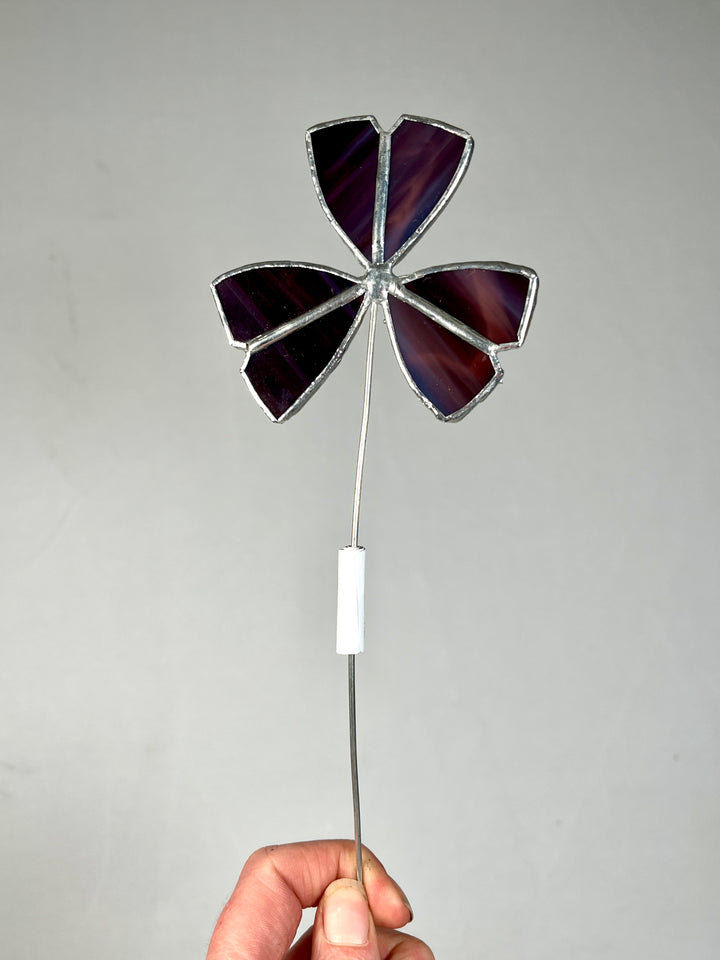 Stained Glass Oxalis