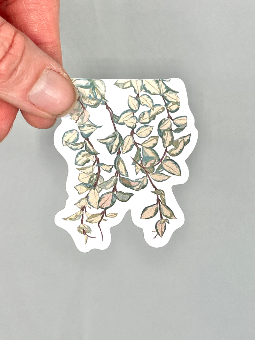 Plant Stickers