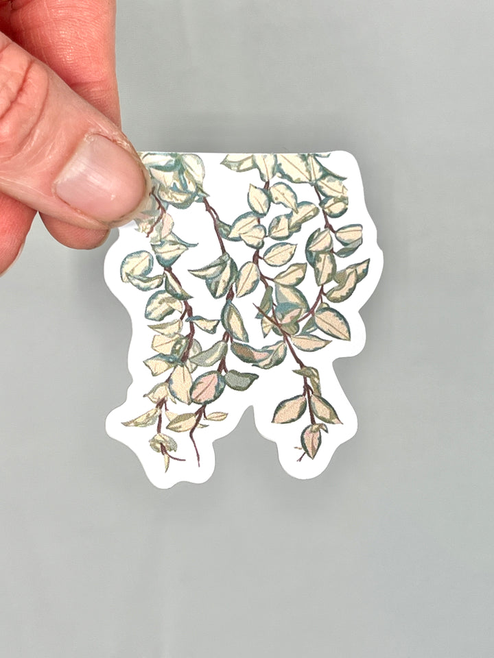 Plant Stickers