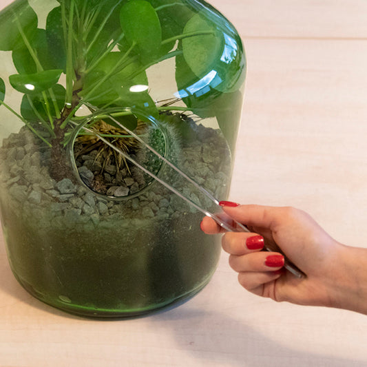 Terrarium Tweezers