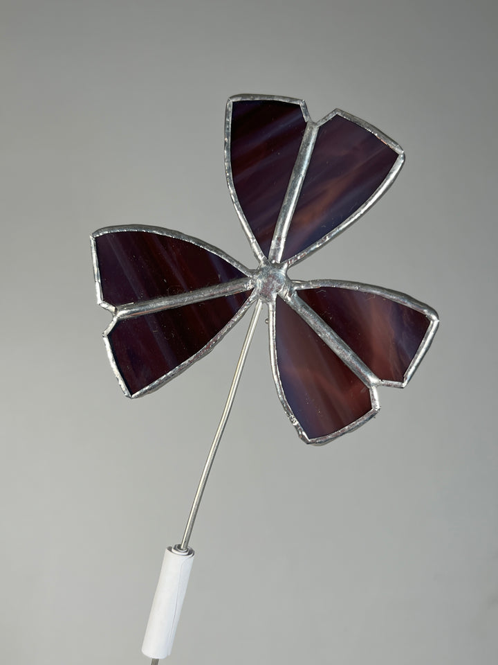 Stained Glass Oxalis