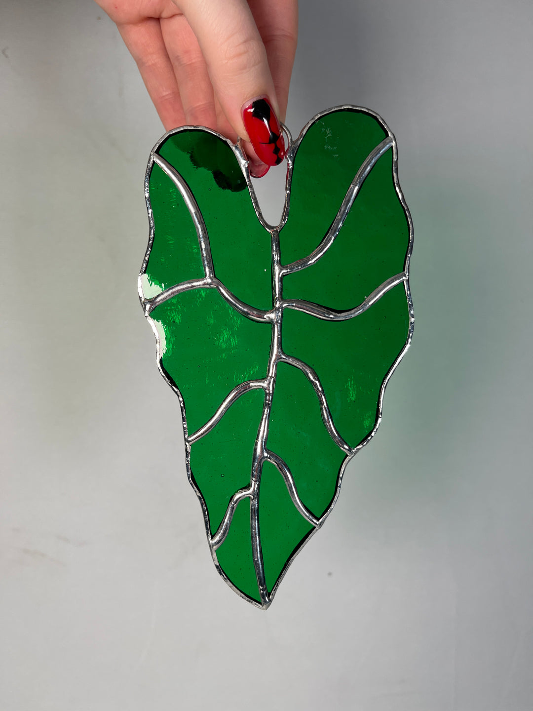 Stained Glass Alocasia