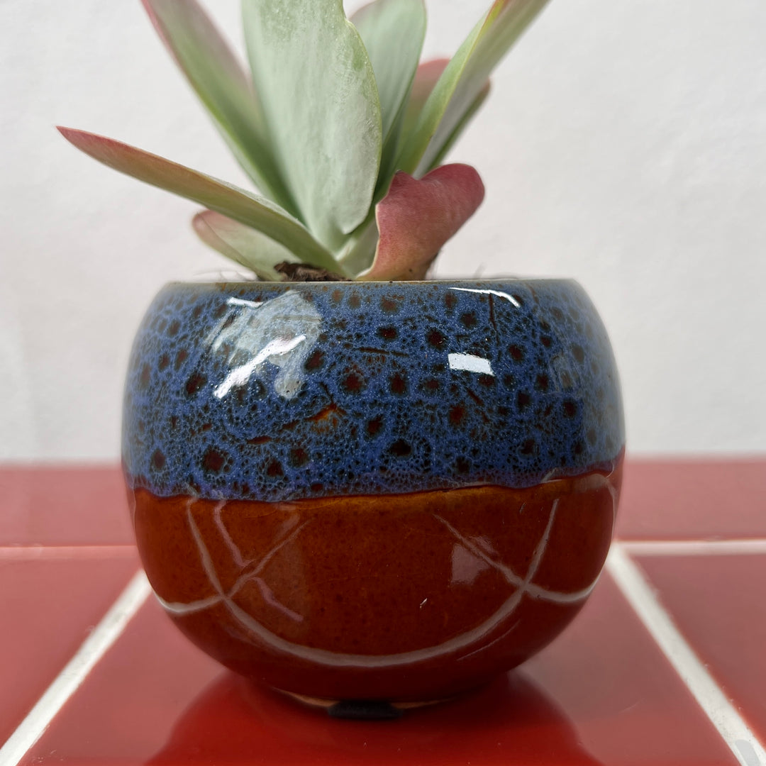 Mini Round Glazed Pot lucky dip