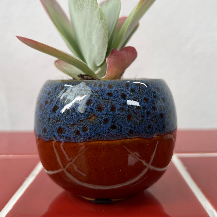 Mini Round Glazed Pot lucky dip