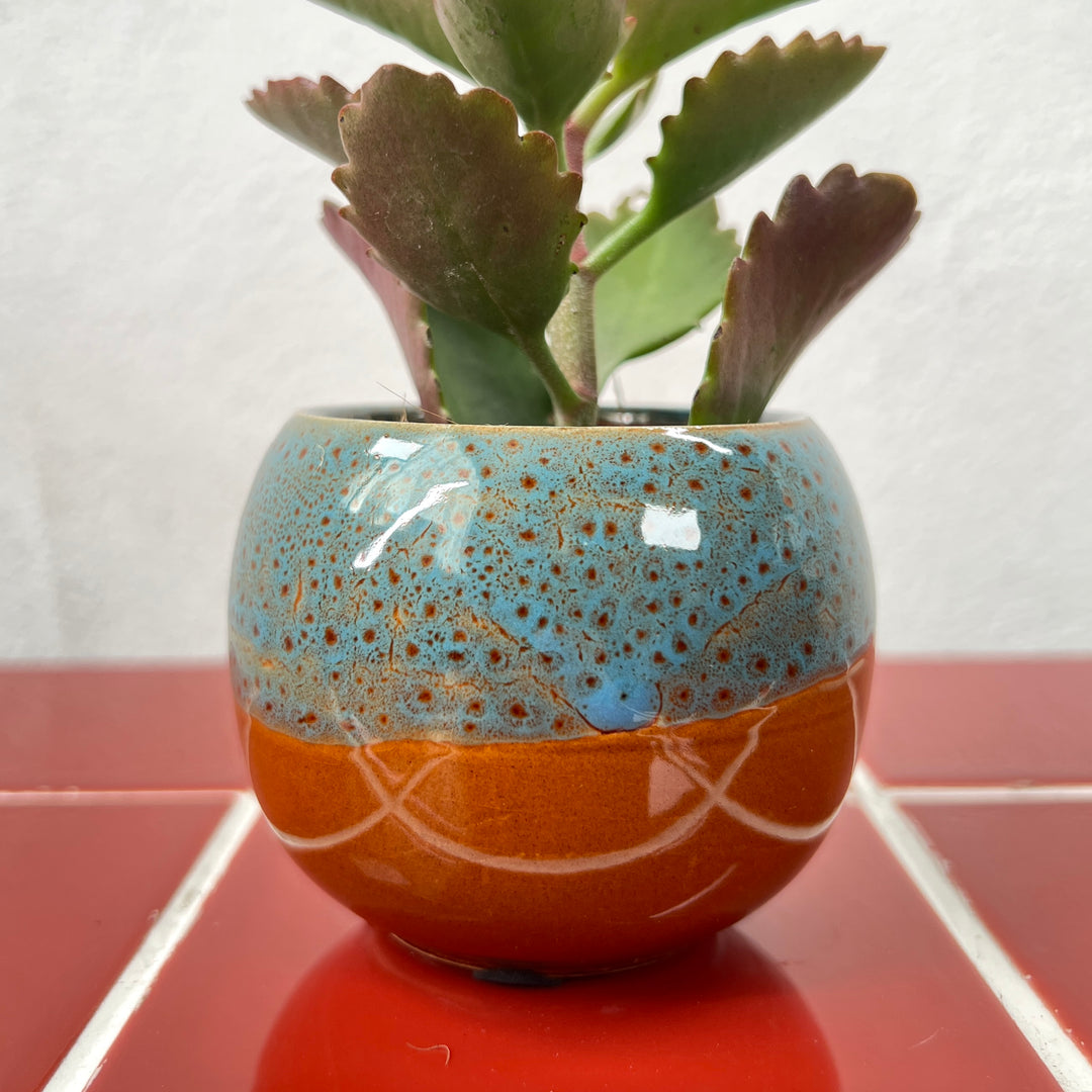 Mini Round Glazed Pot lucky dip