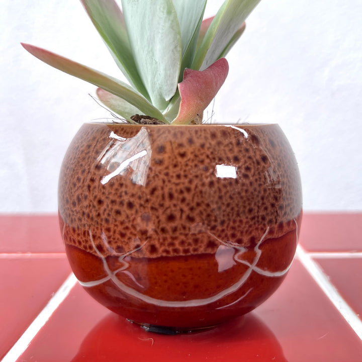 Mini Round Glazed Pot lucky dip