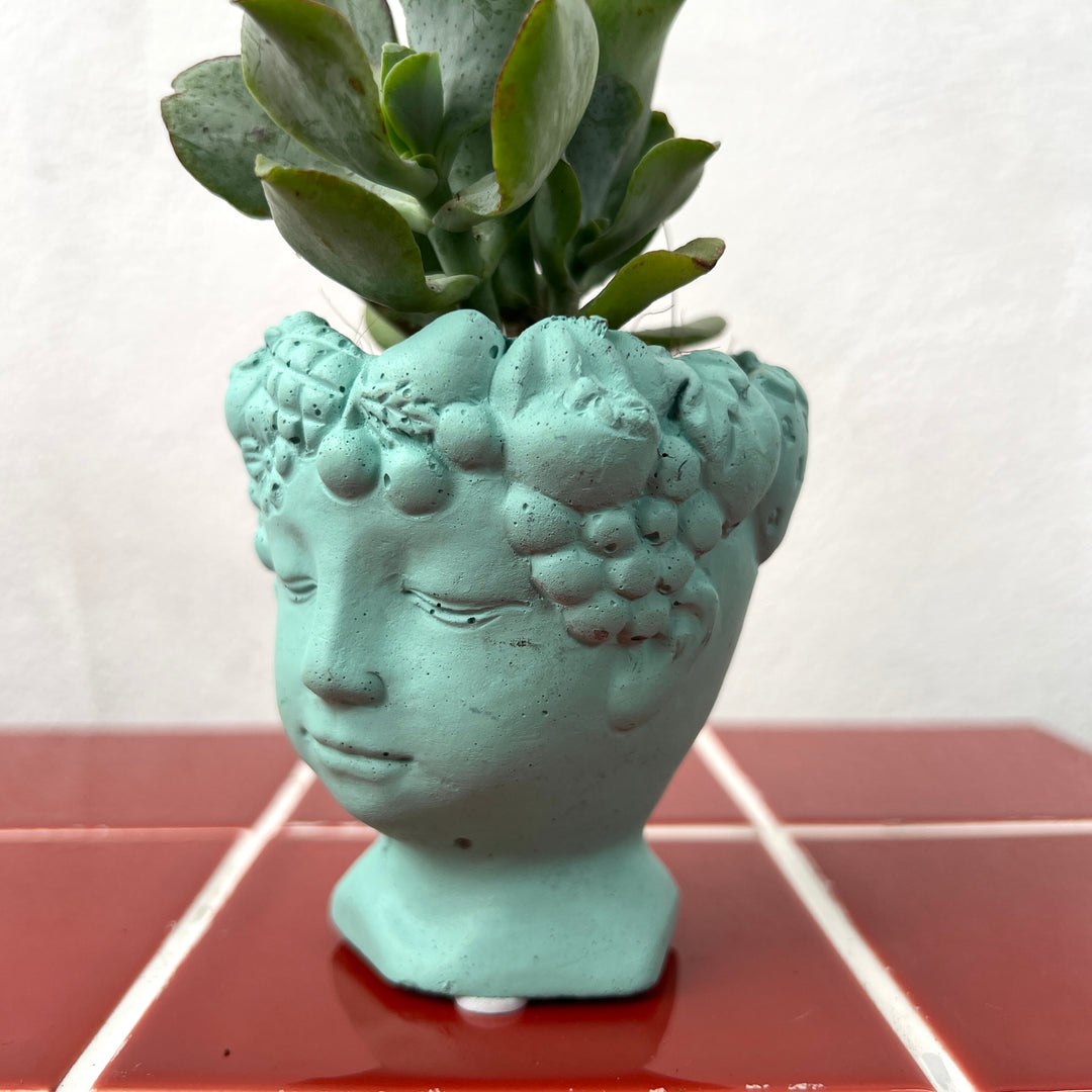 Mini Head Planter Pot – 6cm (Colour Variants)