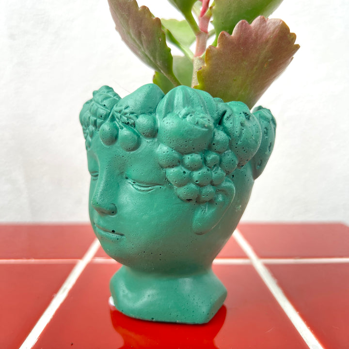 Mini Head Planter Pot – 6cm (Colour Variants)