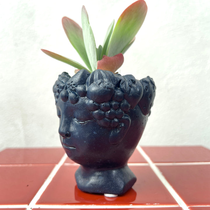 Mini Head Planter Pot – 6cm (Colour Variants)