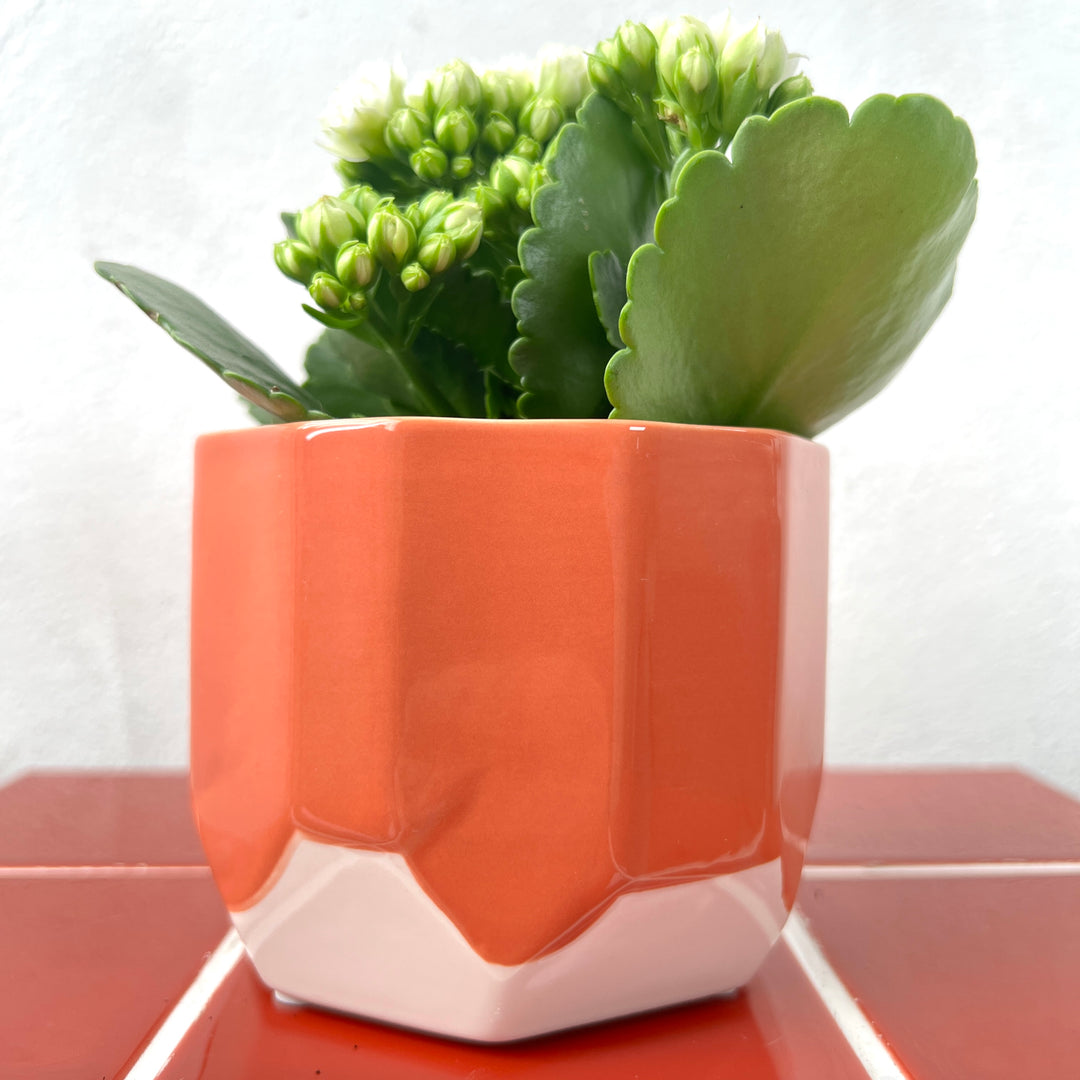 Pot Dolomite D10.7 x H8.7cm – Pink, Orange & Yellow