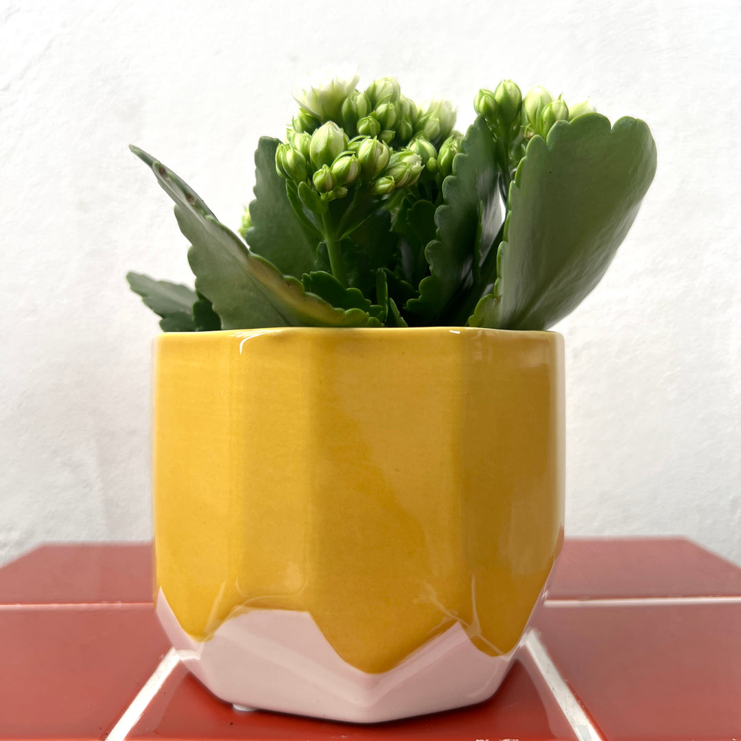 Pot Dolomite D10.7 x H8.7cm – Pink, Orange & Yellow