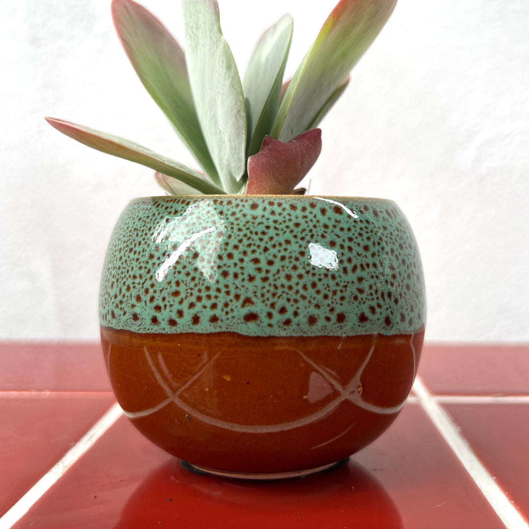 Mini Round Glazed Pot lucky dip