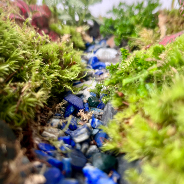 Plant.Studio 'Jungle Falls' Terrarium