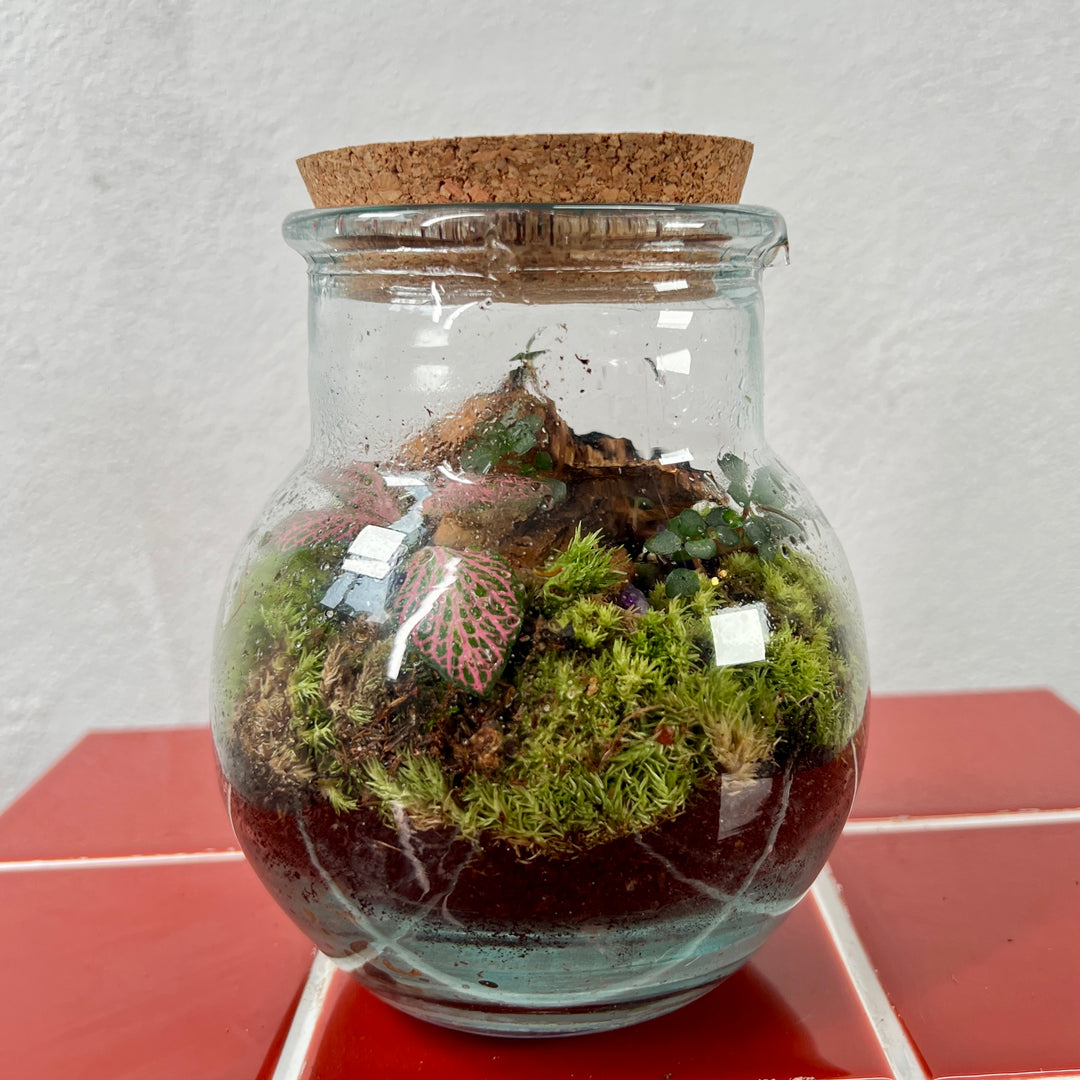 Plant.Studio 'Jungle Floor' Ball Terrarium