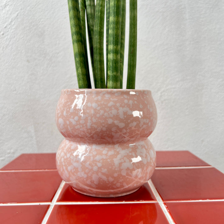 Sophie pot