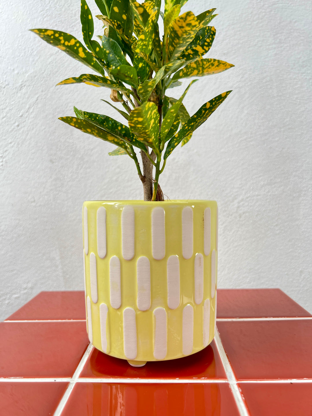 Jolie Mix - Plant Pot Ø9cm