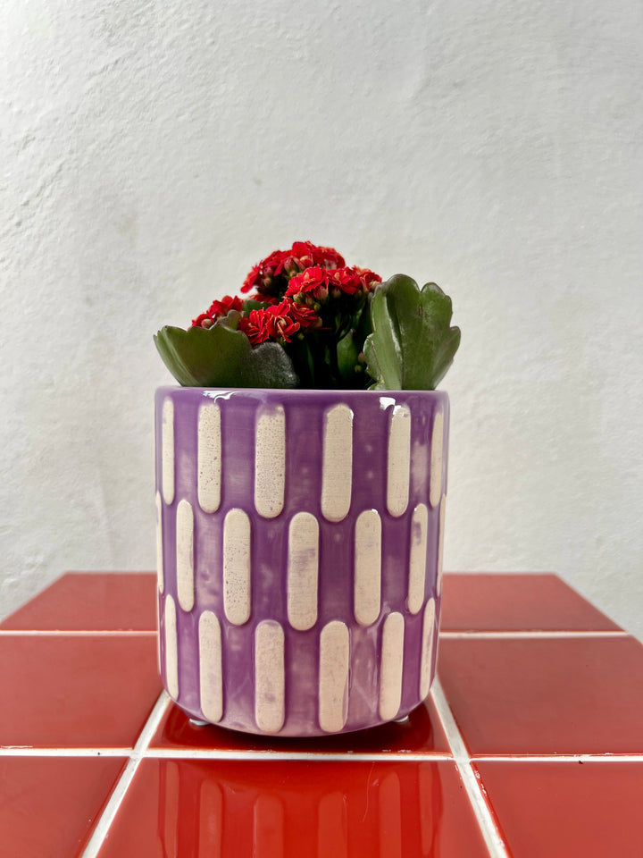 Jolie Mix - Plant Pot Ø9cm