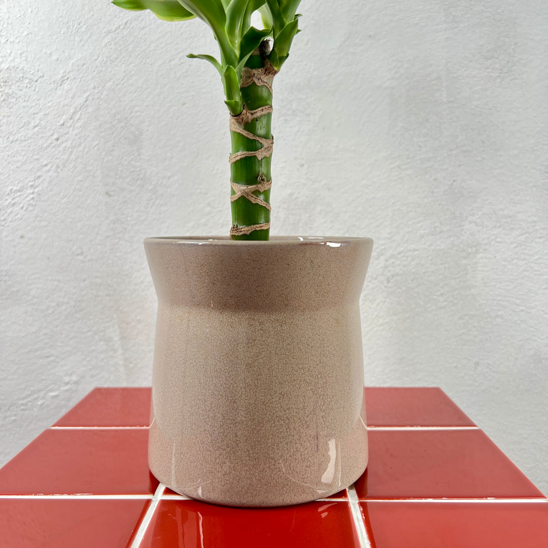 Vase Elise Mix - Plant Pot Ø12