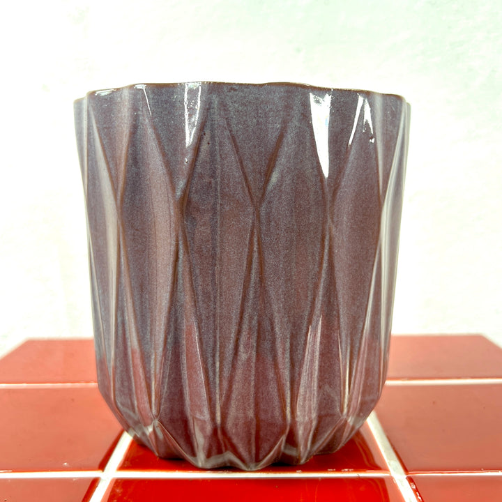 Maria Mix - Plant Pot Ø12cm