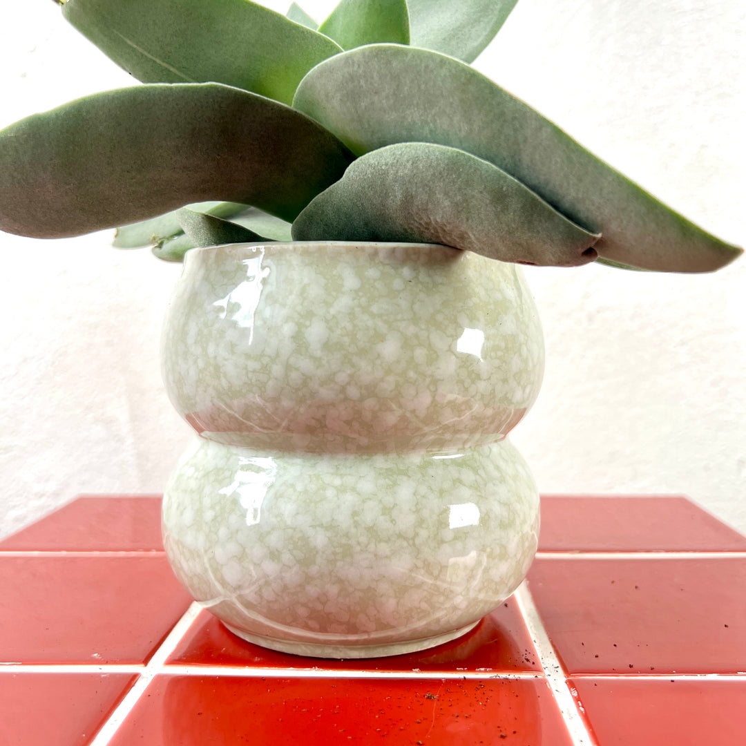 Sophie pot