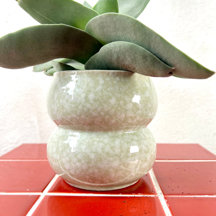 Sophie pot
