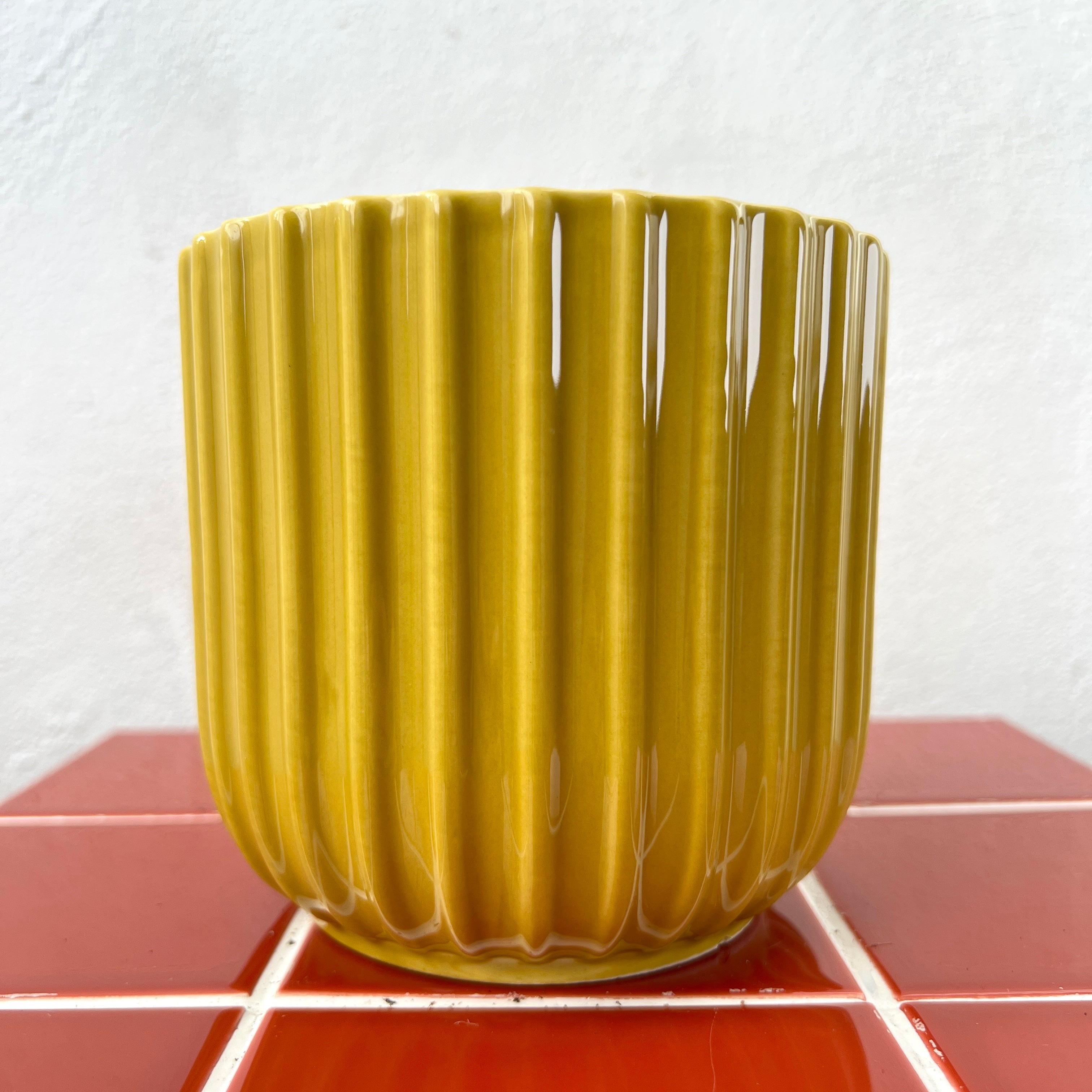 Plant Pots