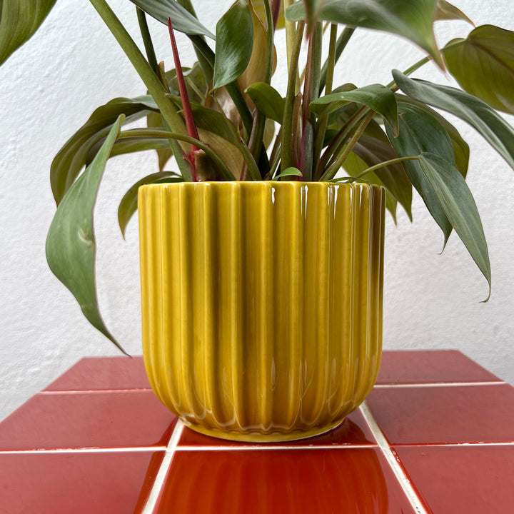 Straight Mustard Glazed Pot – 13cm