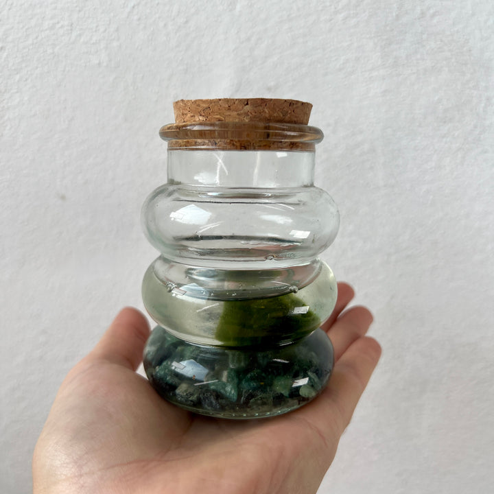Marimo moss ball in glass - Aegagropila linnaei