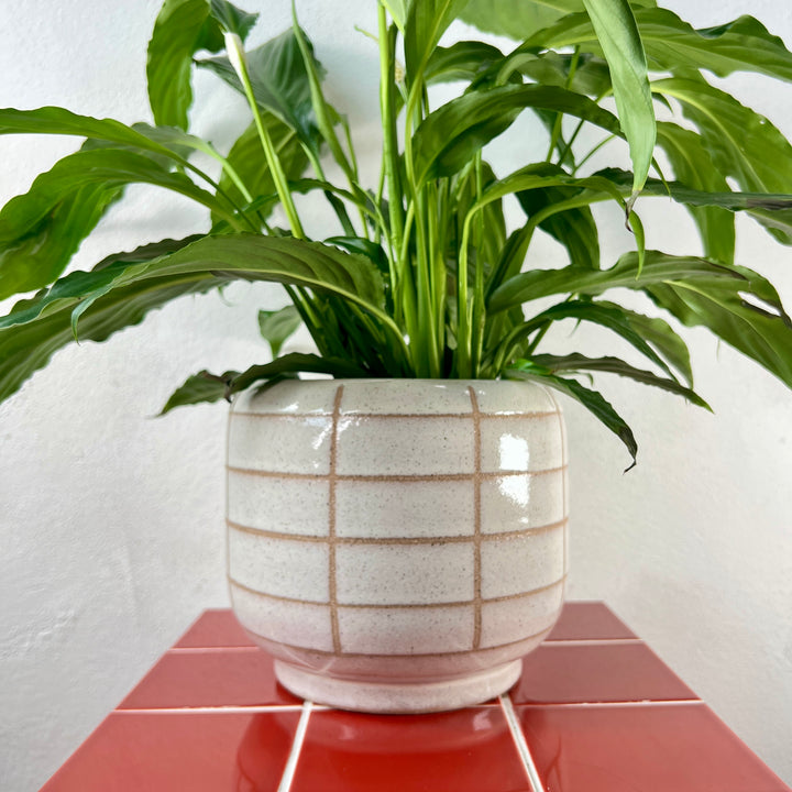 Jake Ceramic Pot – Off-White Grid – 19cm