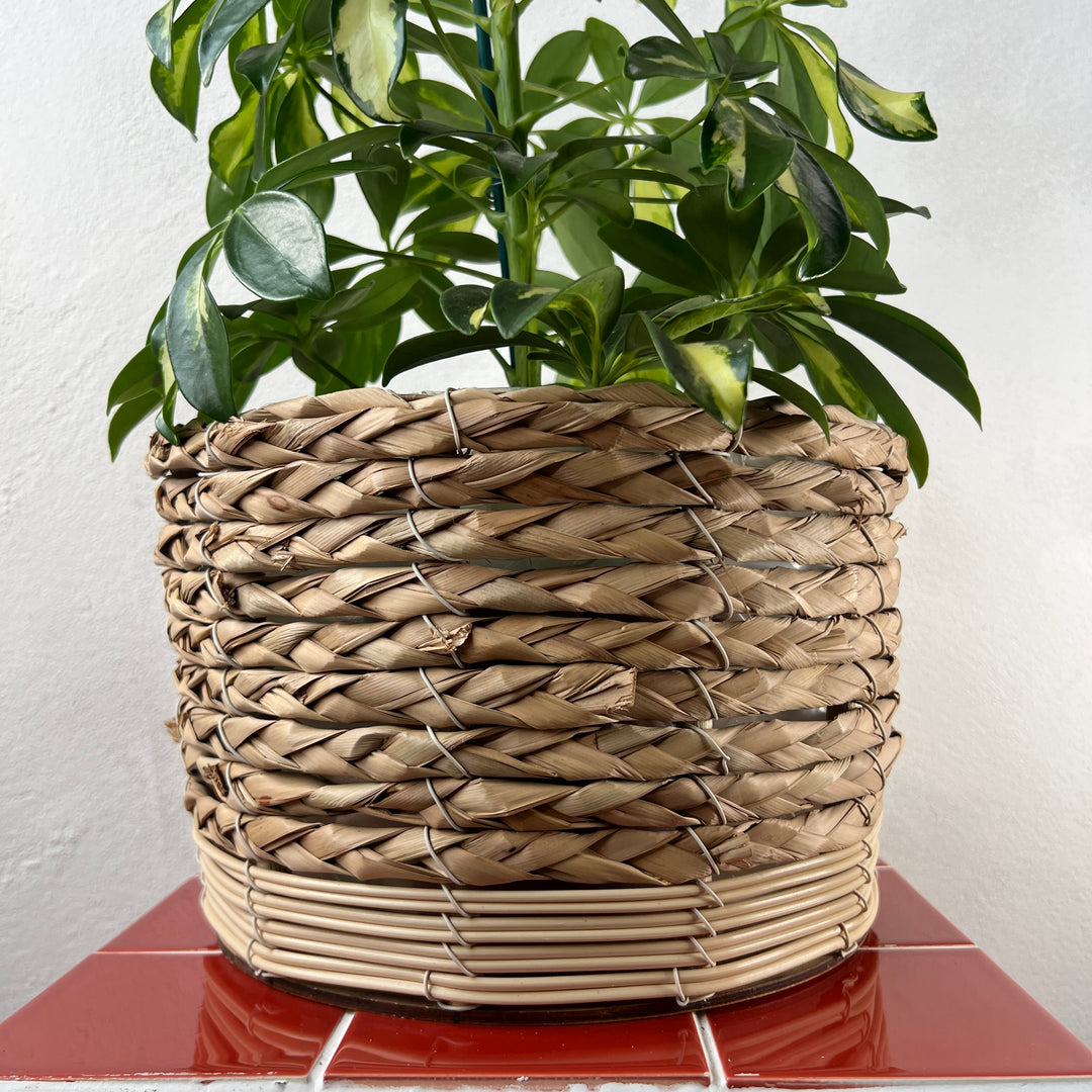 Natural Round Woven Basket