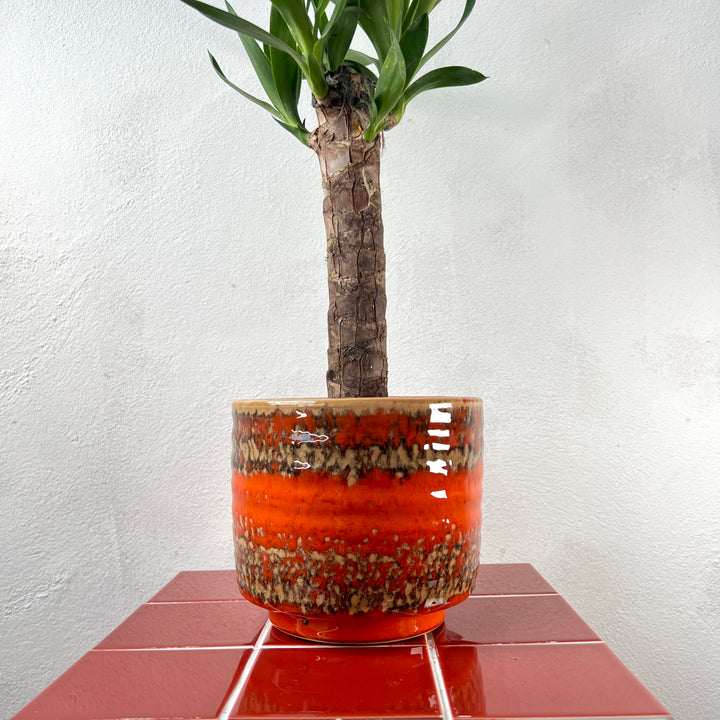 Sebas Ceramic Pot – Retro Orange – 16cm