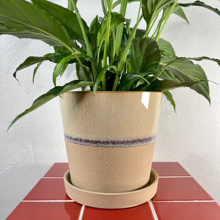 The Satisfyingly Simple Combo