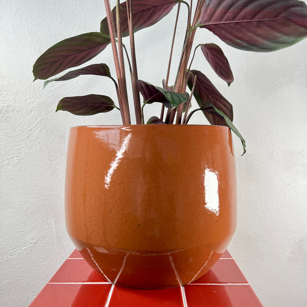 Matteo Ceramic Pot – Terra – 27cm