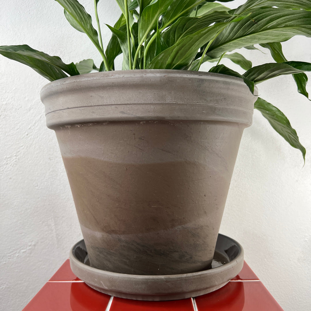 Picea Pot XL with Saucer – Taupe – 31cm