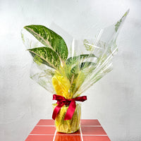 Gift Wrapping Service