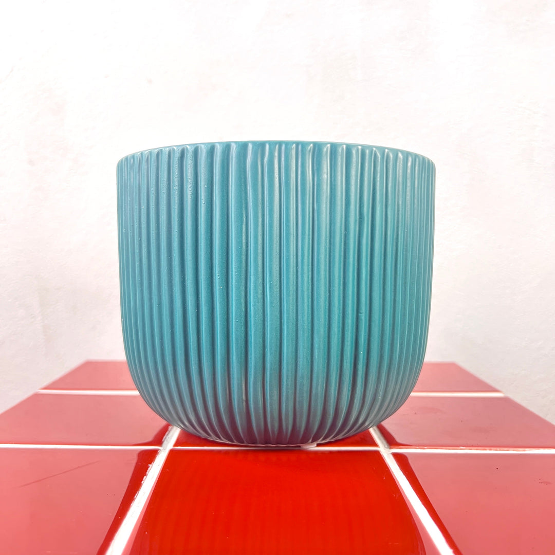 The Sophisticated Colour Pop Combo