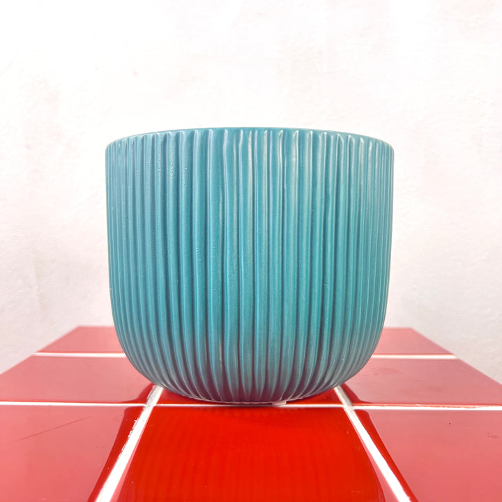 The Sophisticated Colour Pop Combo