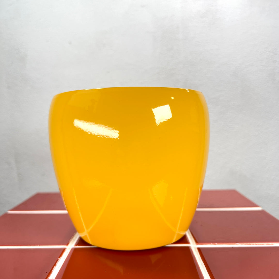 Gloss Colour Ceramic Pot  (15 × 13 cm)