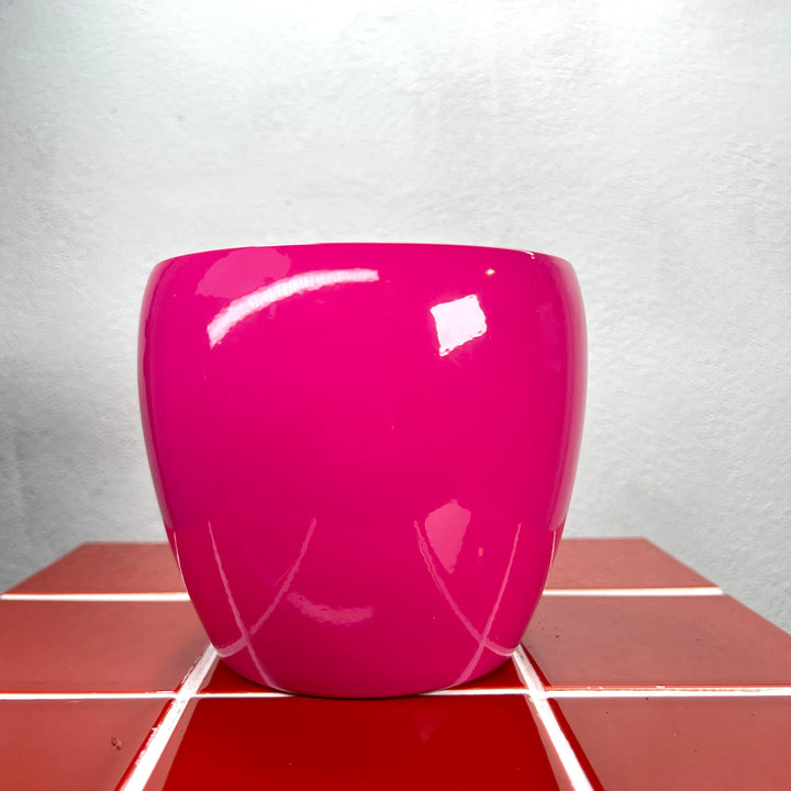 Gloss Colour Ceramic Pot  (15 × 13 cm)