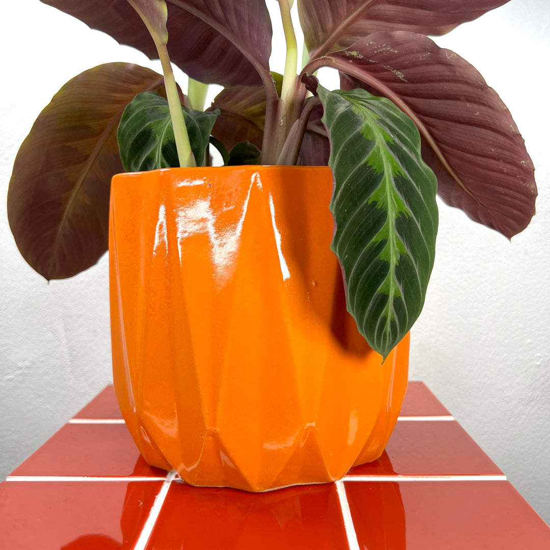 Luke orange pot