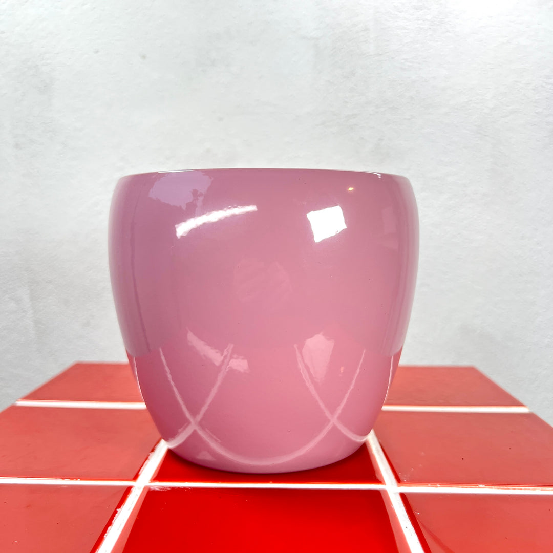 Gloss Colour Ceramic Pot  (15 × 13 cm)