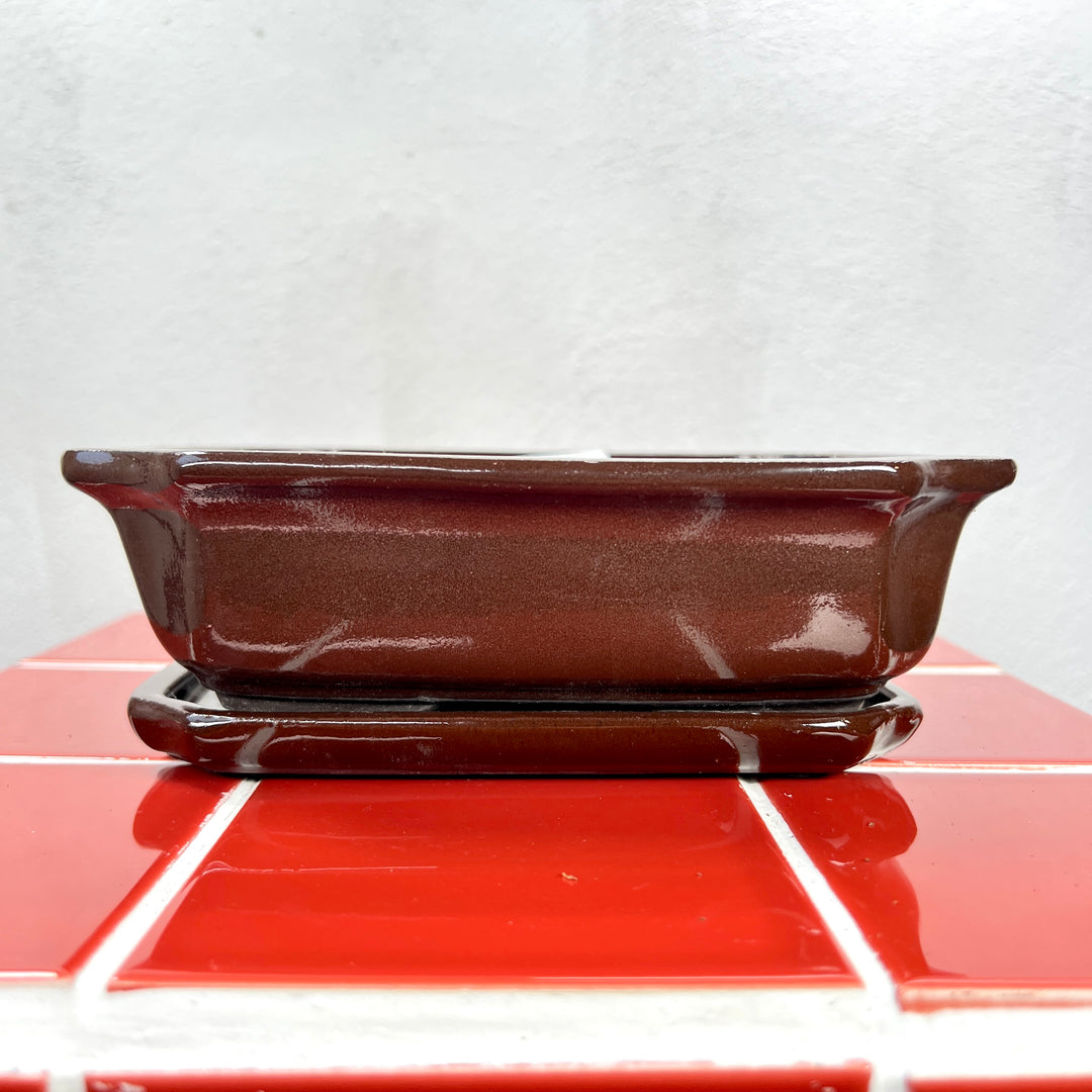 Rectangular Bonsai Pot with Saucer – Small